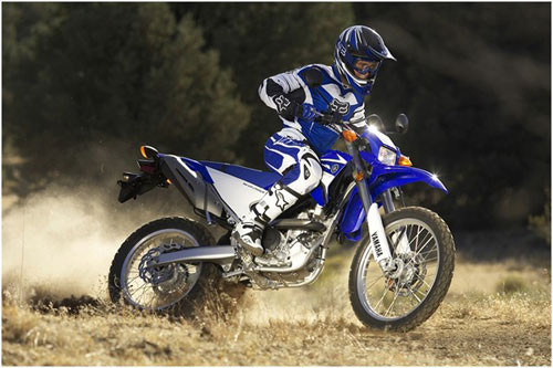 2008 Yamaha WR250R 