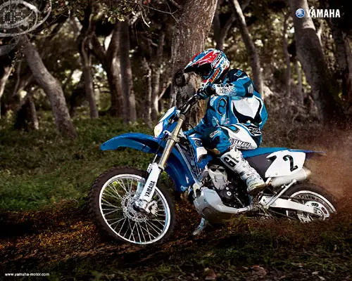 2008 Yamaha WR450F 