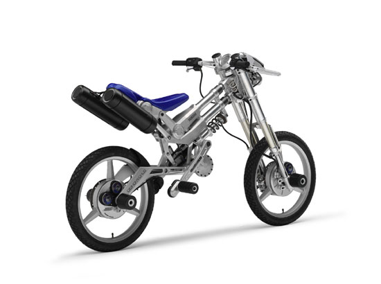 2005 Yamaha Deinonychus