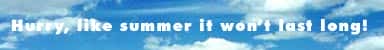 TMW Summer Advertising Special