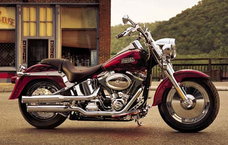 Harley davidson fat boy 2006 hotsell