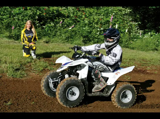 2010 Suzuki QuadSport Z90