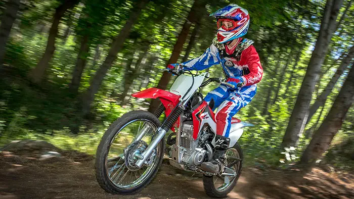 honda crf110f for adults