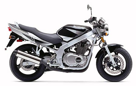 2002 Suzuki GS500E