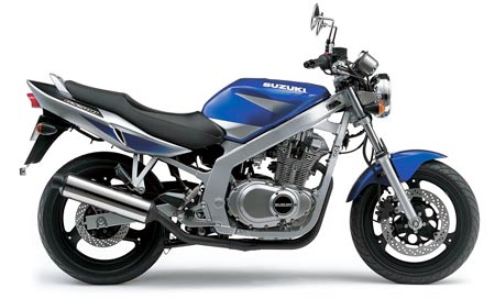2003 Suzuki GS500E