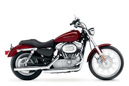 2006 Harley Davidson XL 883C Sportster 883C Custom