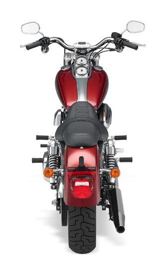 2009 Harley-Davidson FXDL Dyna Low Rider 