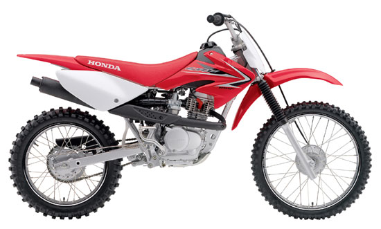 2009 Honda CRF100F 