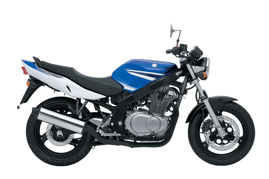 2009 Suzuki GS500 