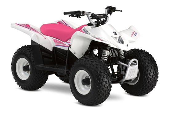 2009 Suzuki QuadSport Z50 Special Edition 