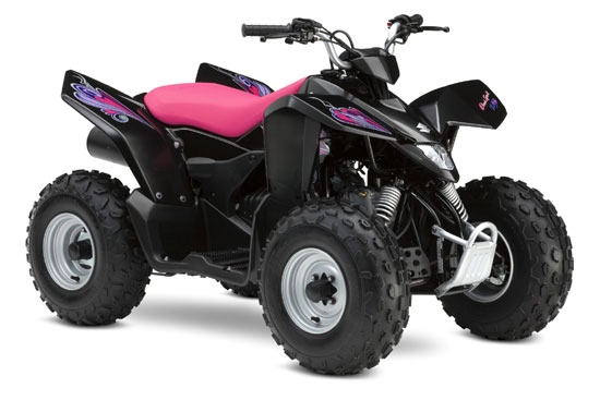 2009 Suzuki QuadSport Z90 Special Edition 