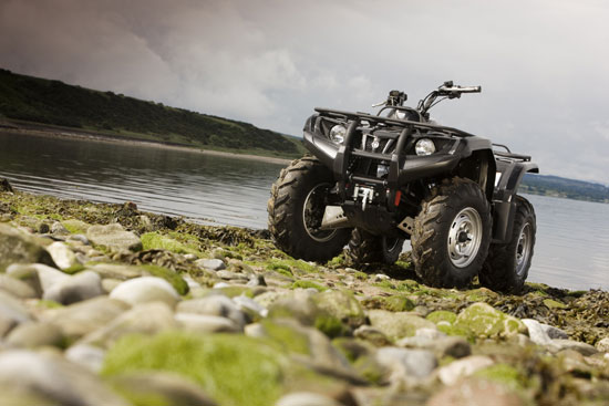 2009 Yamaha Grizzly 350 4x4 IRS 