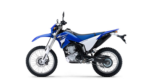2009 Yamaha WR250R 