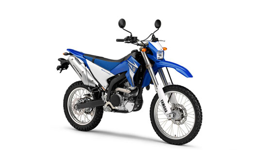2009 Yamaha WR250R 