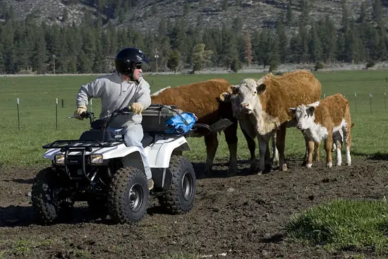 2010 Kawasaki Bayou 250 