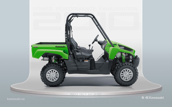 2010 Kawasaki Teryx 750 FI 4x4 Sport 