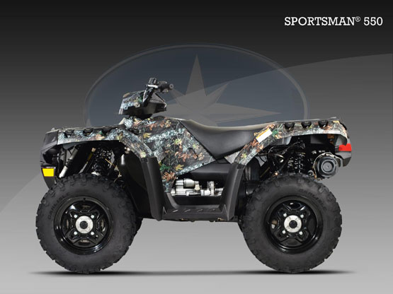 2010 Polaris 550 