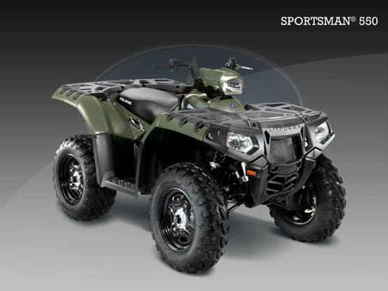 2010 Polaris 550 