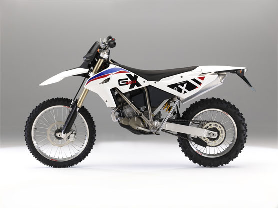 2011 BMW G450X 