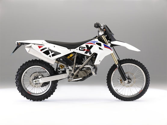 2011 BMW G450X 