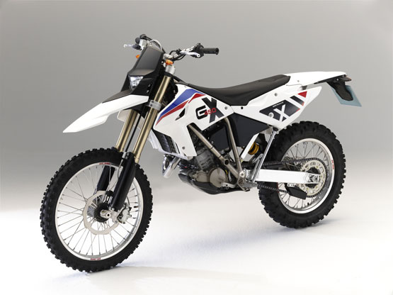 2011 BMW G450X 