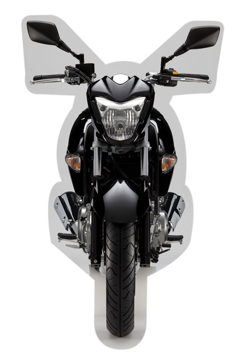 2012 Suzuki Inazuma 250 