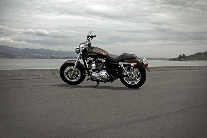 2013 Harley-Davidson XL1200C Sportster 1200 Custom 110th Anniversary 
