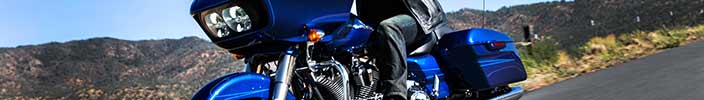 A nice surprise! A pair of new 2015 Harley-Davidson Road Glides