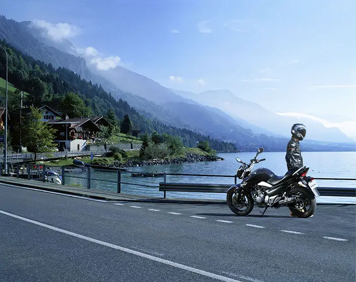 2015 Suzuki Inazuma GW250 