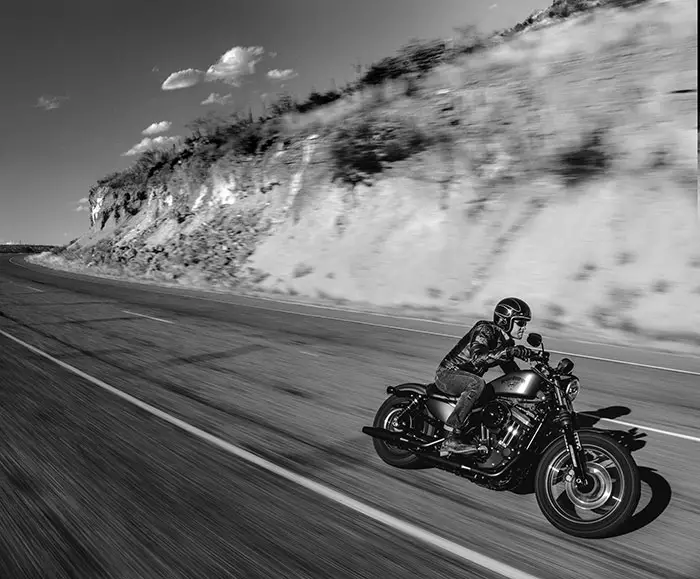 2016 Harley-Davidson Iron 883 