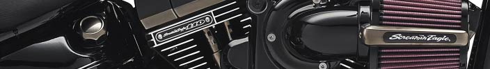 Harley-Davidson takes the factory custom to a raw and powerful edge!