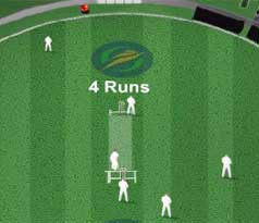 Cricket Challenge