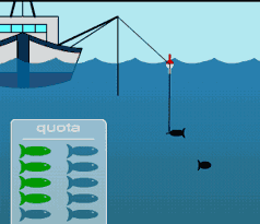 Fishing the Sea