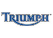 2008 Triumph Motorcycle Models