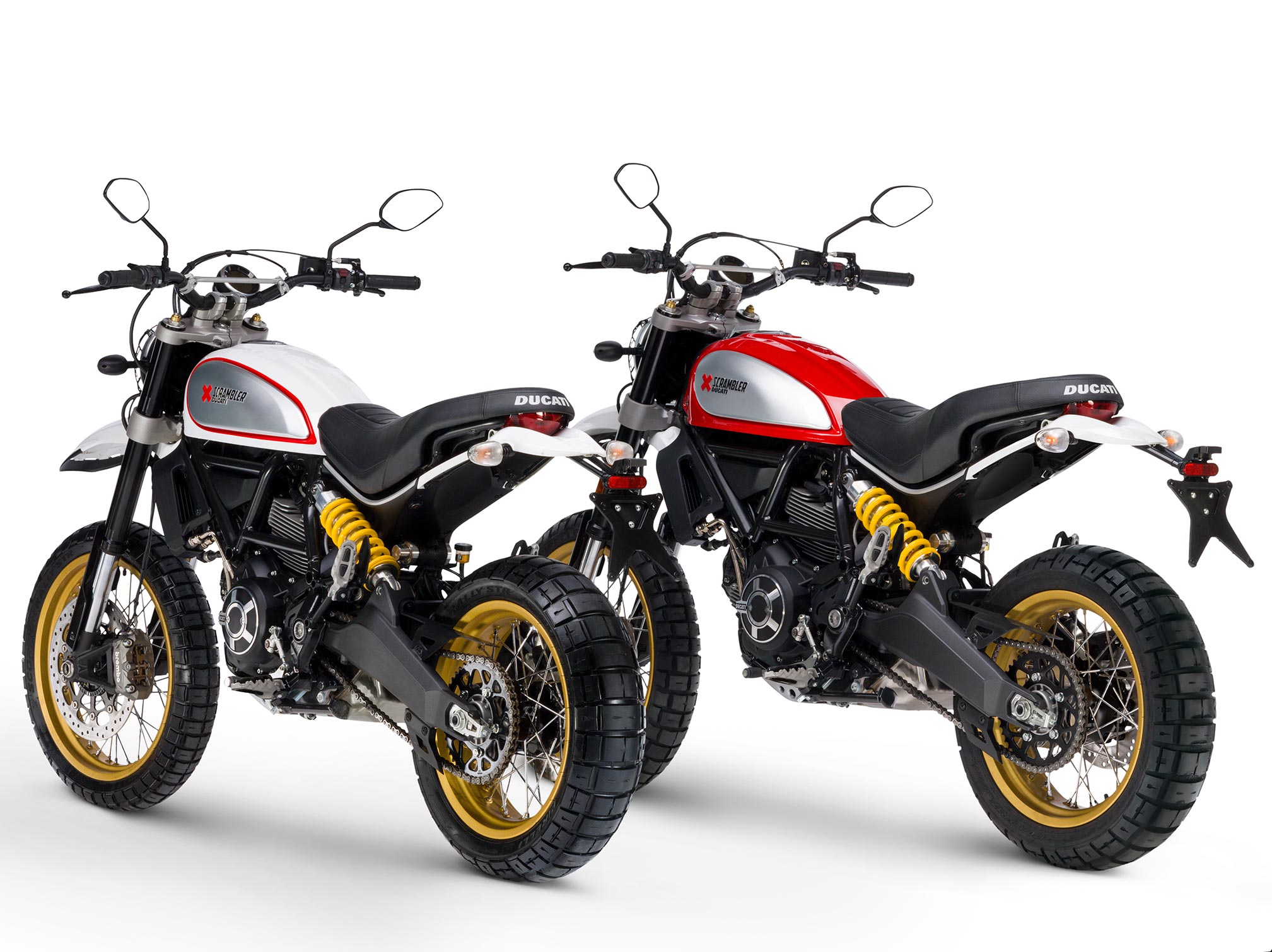 termignoni desert sled