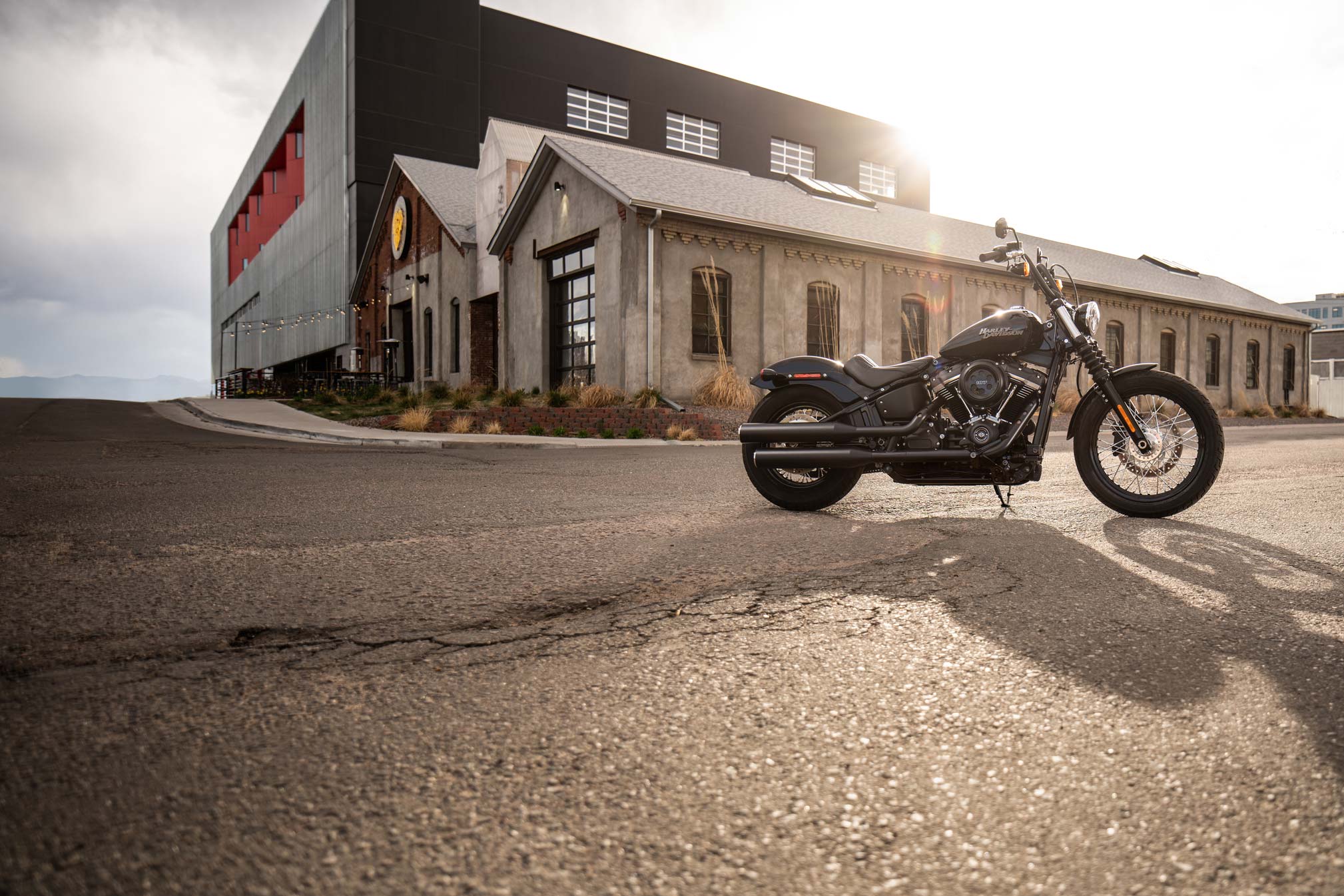 Harley street bob 2019 clearance