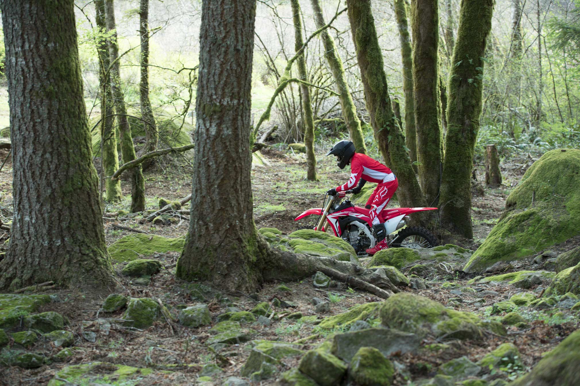 450xr