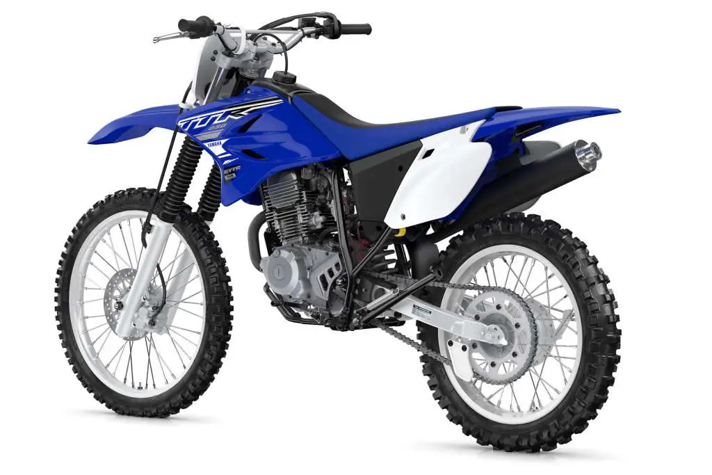 2019 Yamaha TT-R230