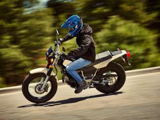 2019 Yamaha TW200