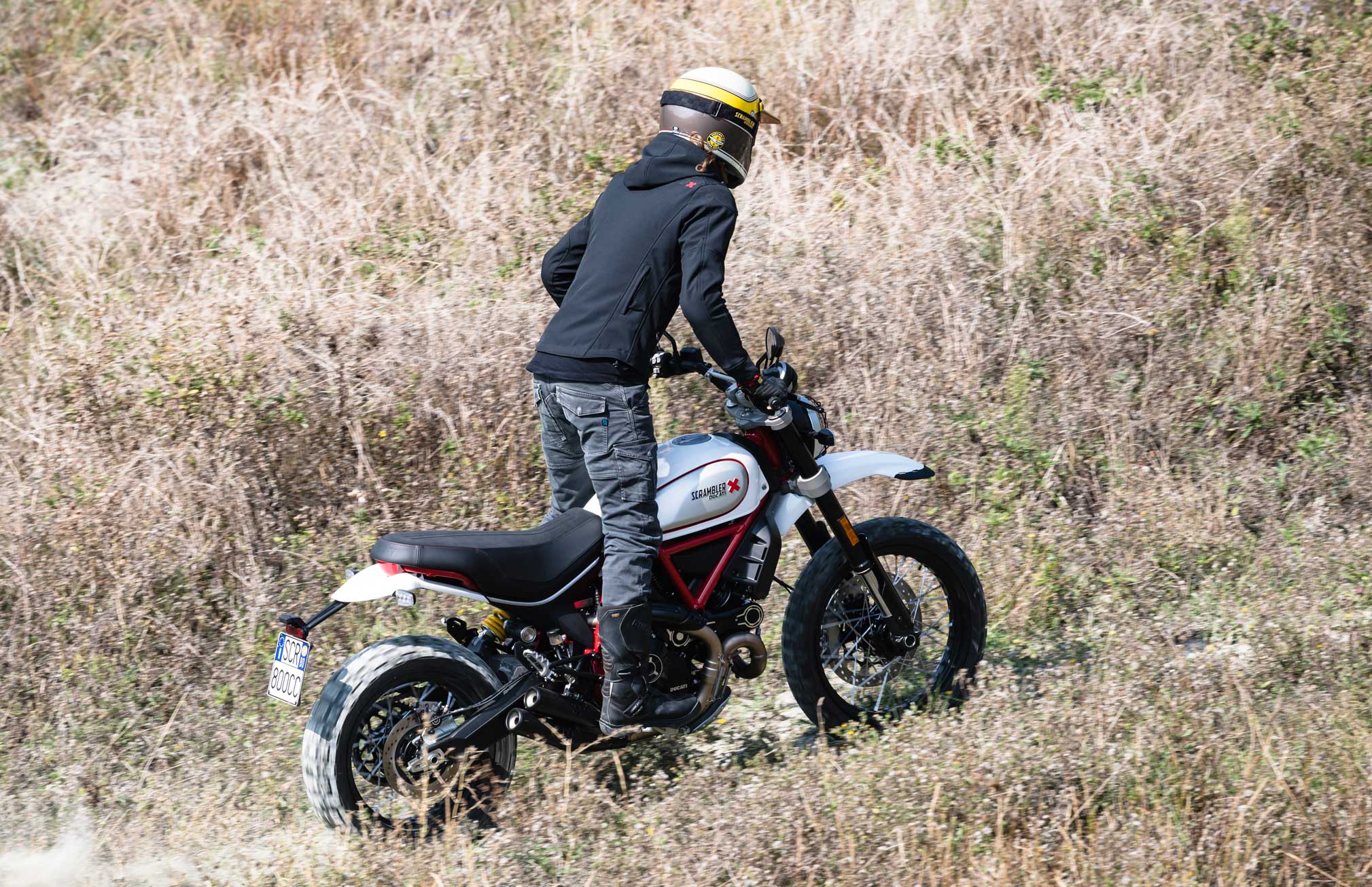 2019 desert sled