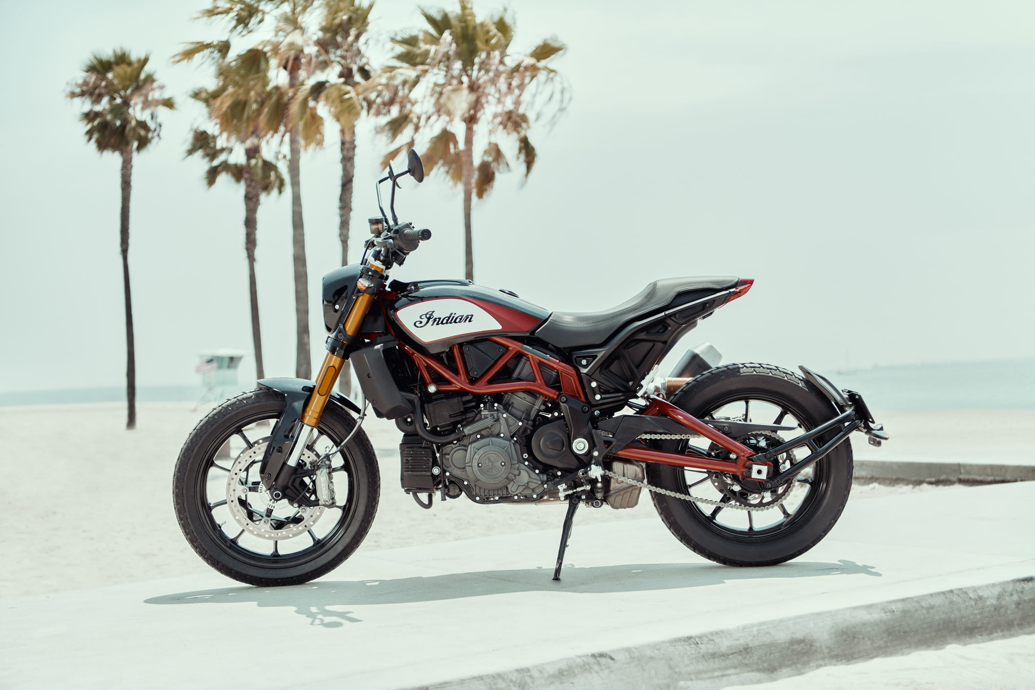 2019 indian