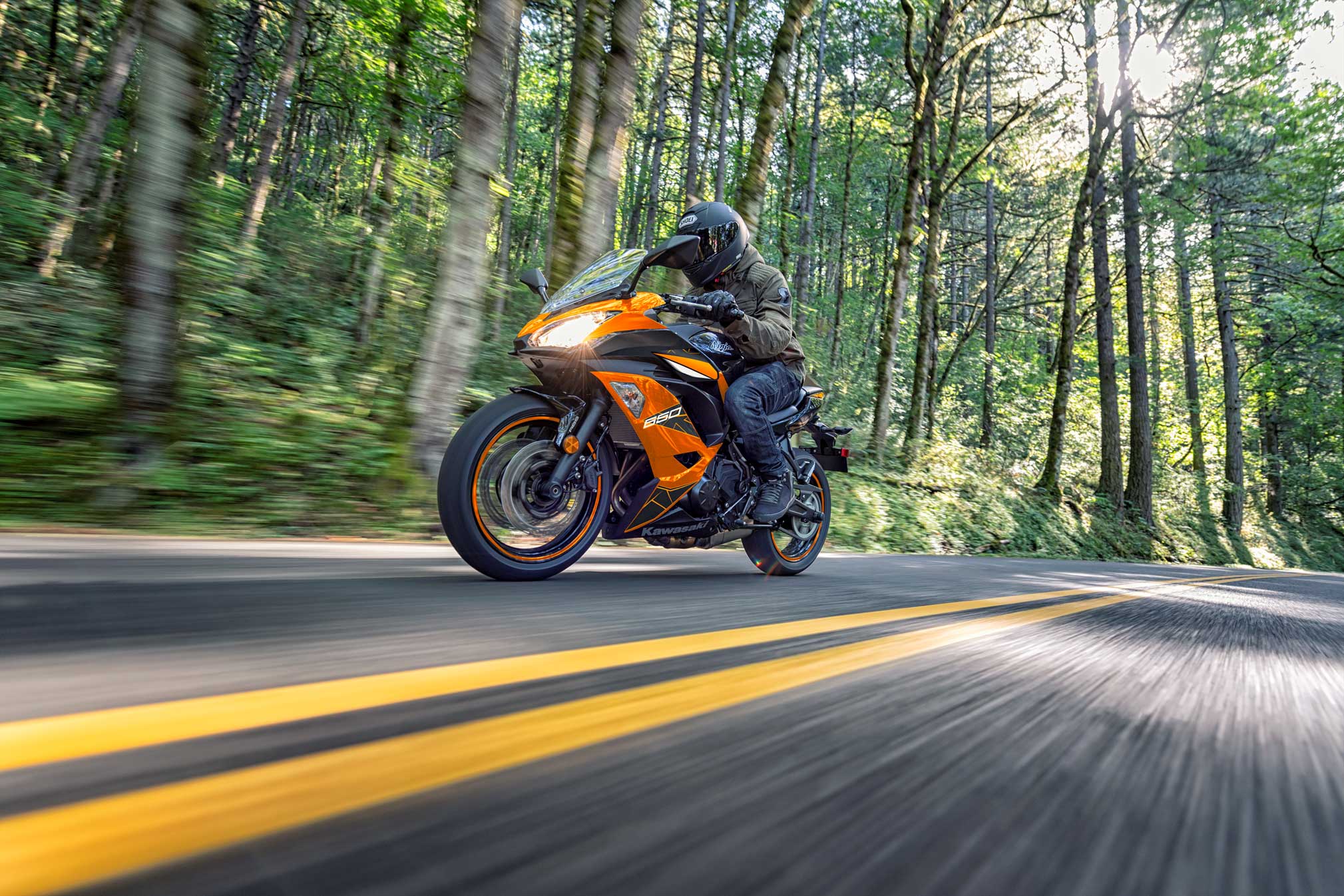2019 ninja 650 new arrivals