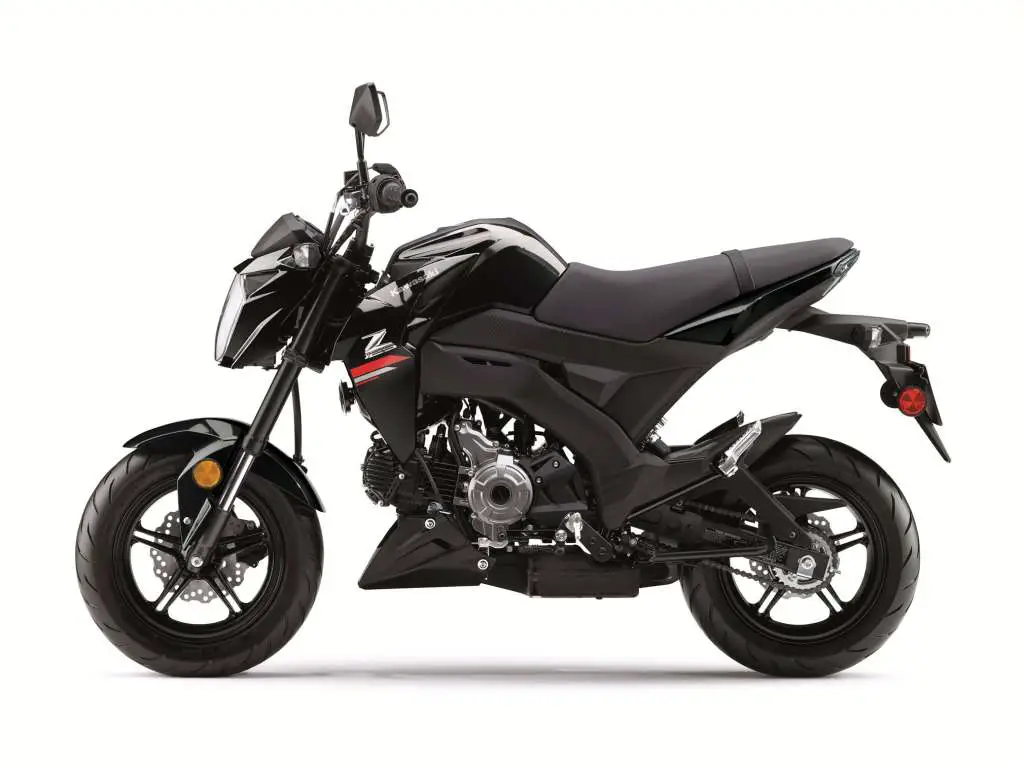 2019 Kawasaki Z125 Pro