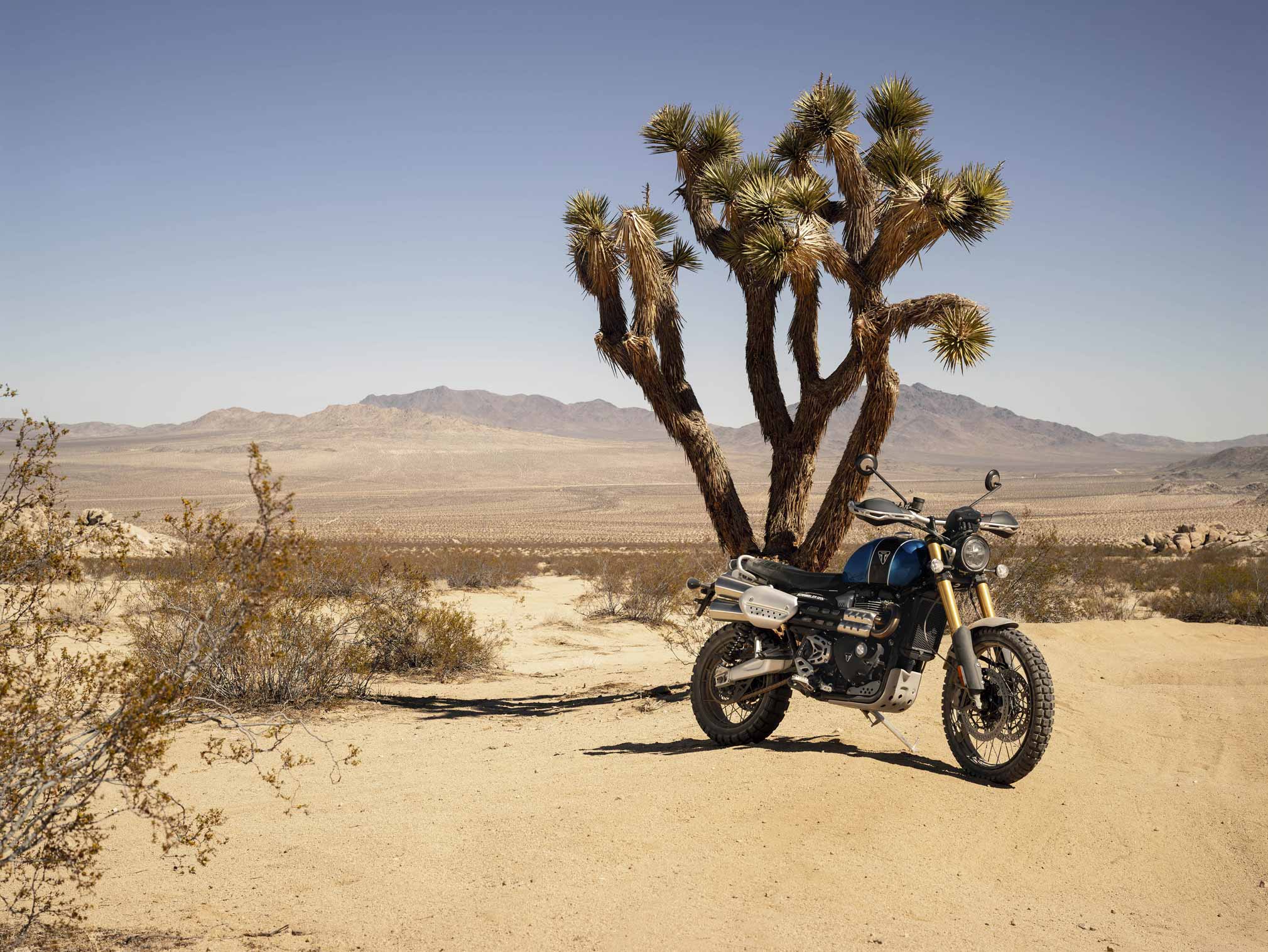 triumph scrambler 1200 xe 2019