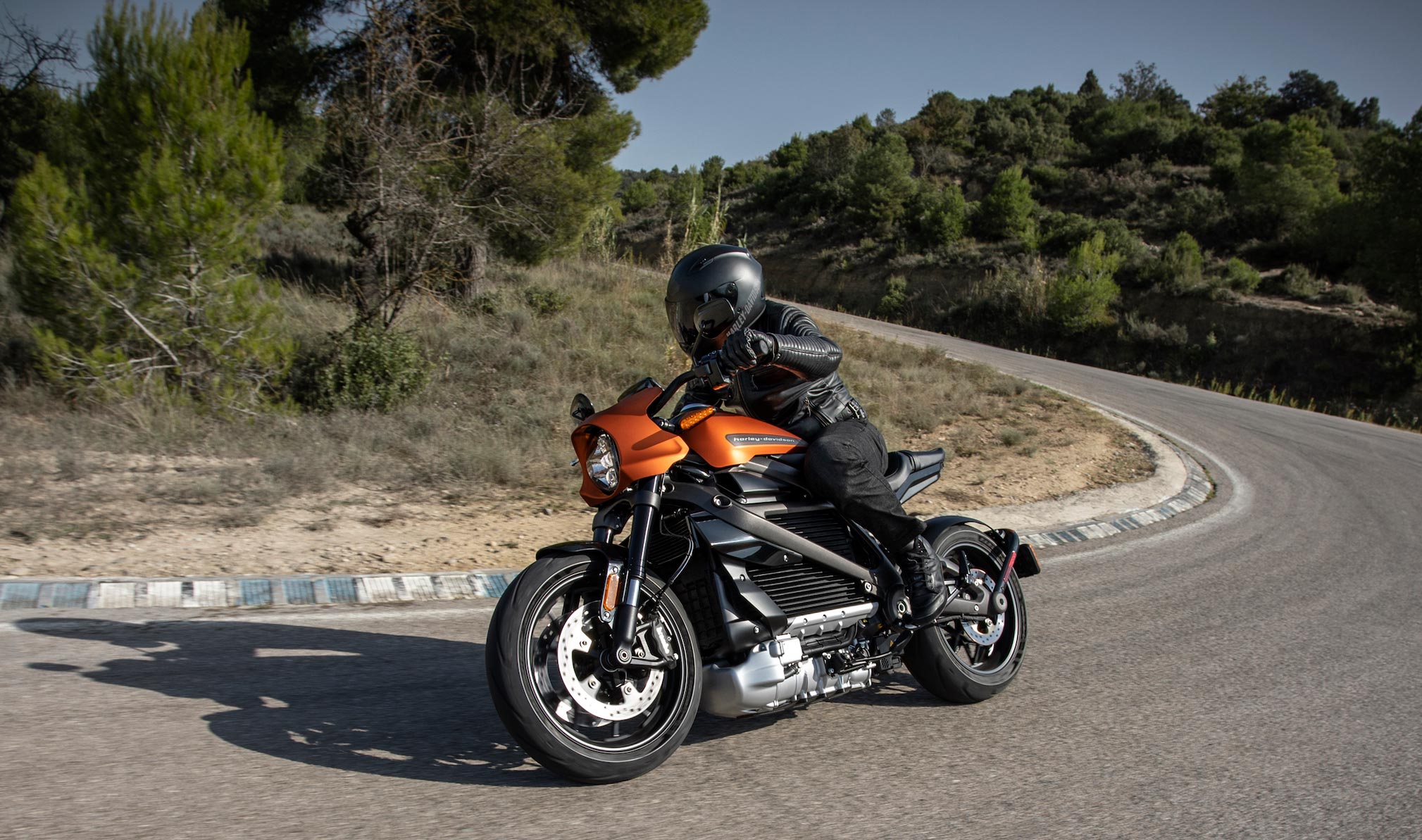  2019  Harley  Davidson  LiveWire  Guide  Total Motorcycle