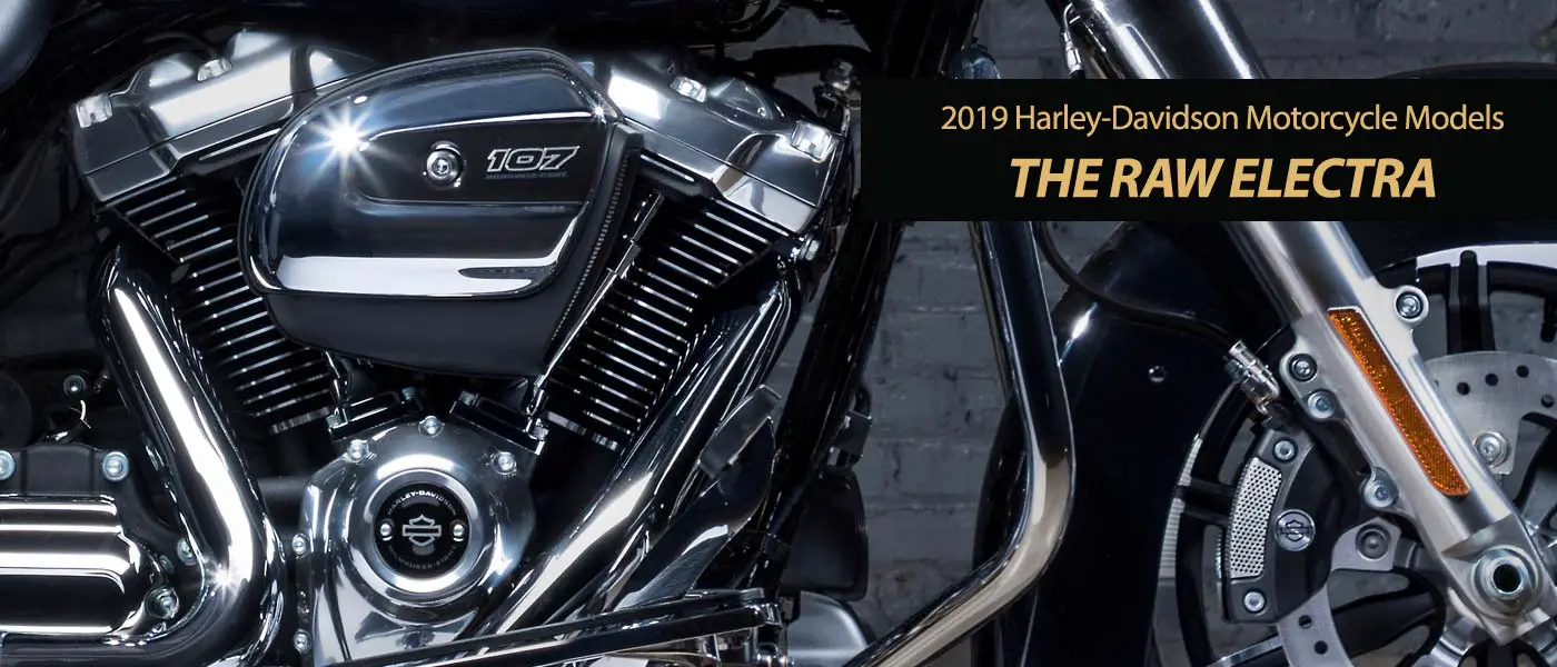 A First Ride On Harley's Stripped-Down Tourer, The 2019 Electra Glide  Standard