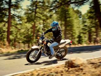 2020 Yamaha TW200