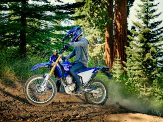 2020 Yamaha WR250R