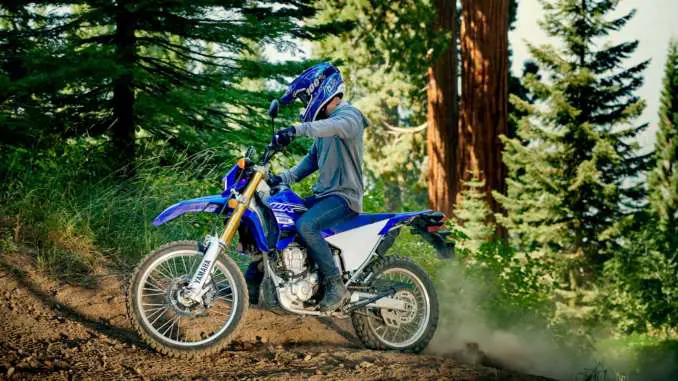 2020-Yamaha-WR250R1 2020 Yamaha WR250R