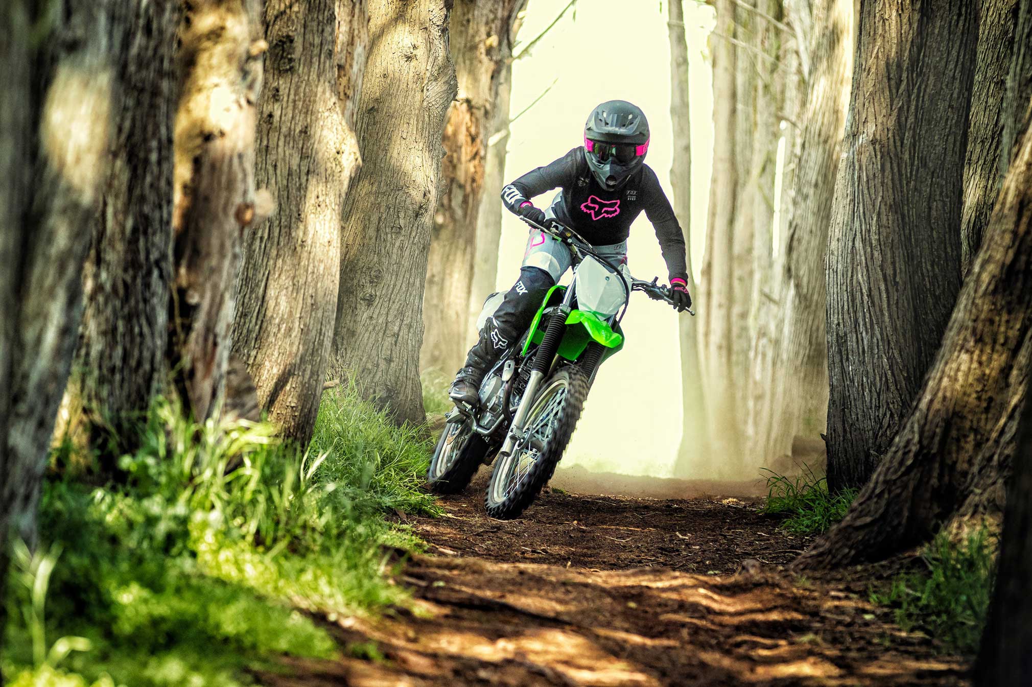 2020 klx230r